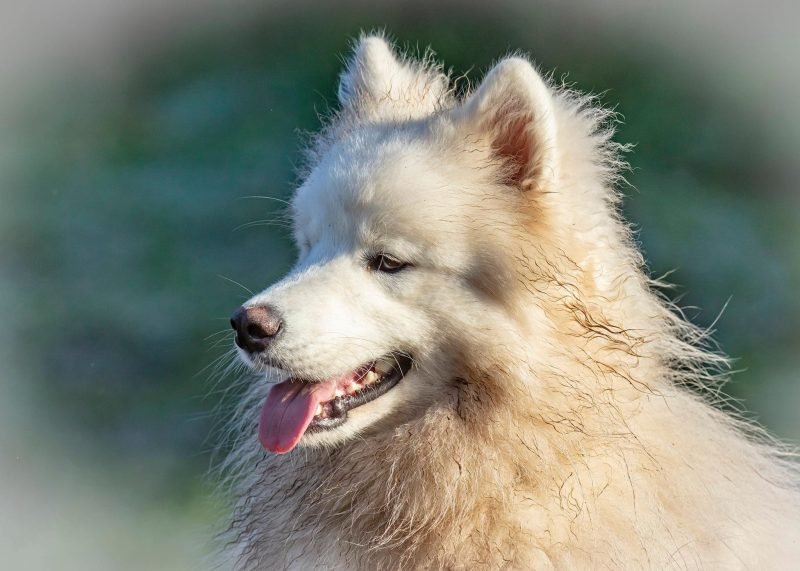 Richard Bond Photography